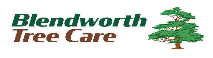 Blendworth Tree Care